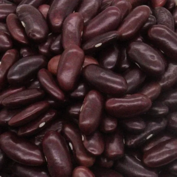 rajma-red