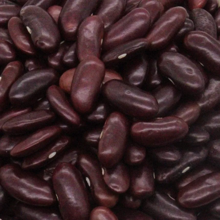 rajma-red